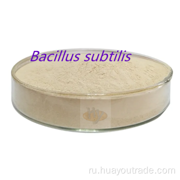 кормовая добавка Bacillus subtilis нерастворимая вода 400cfu/g